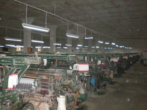 河北 纯涤布 织布厂 化纤坯布 产品