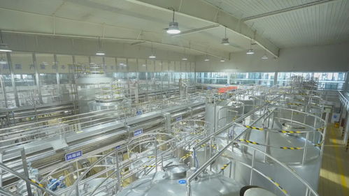 二十四节气看蒙牛丨大暑走进蒙牛乌鲁木齐工厂